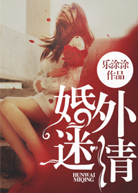 婚外迷情正版
